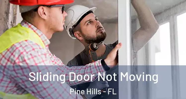  Sliding Door Not Moving Pine Hills - FL