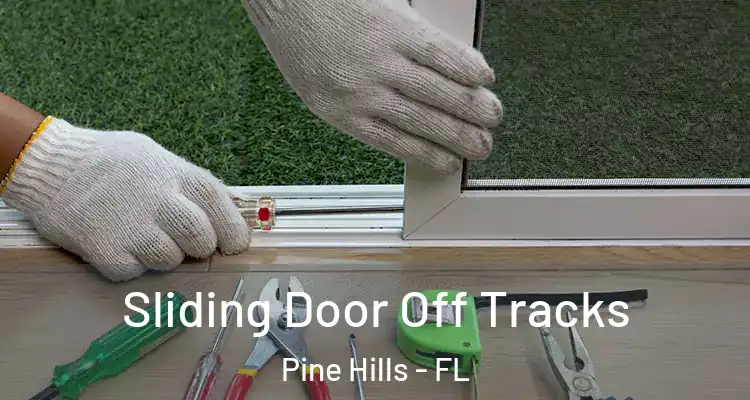  Sliding Door Off Tracks Pine Hills - FL
