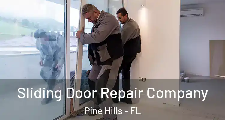  Sliding Door Repair Company Pine Hills - FL