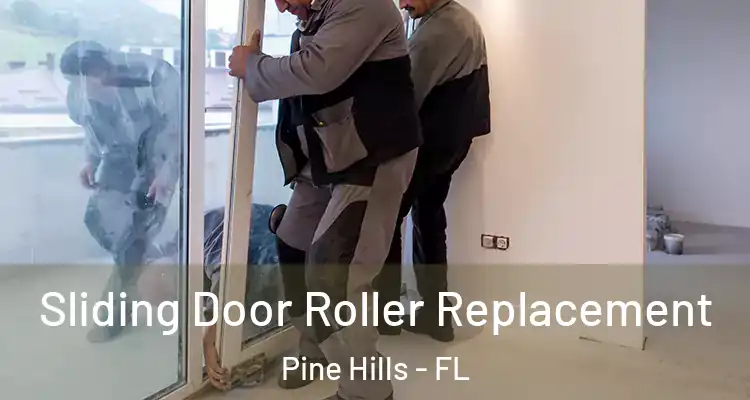  Sliding Door Roller Replacement Pine Hills - FL