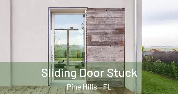  Sliding Door Stuck Pine Hills - FL