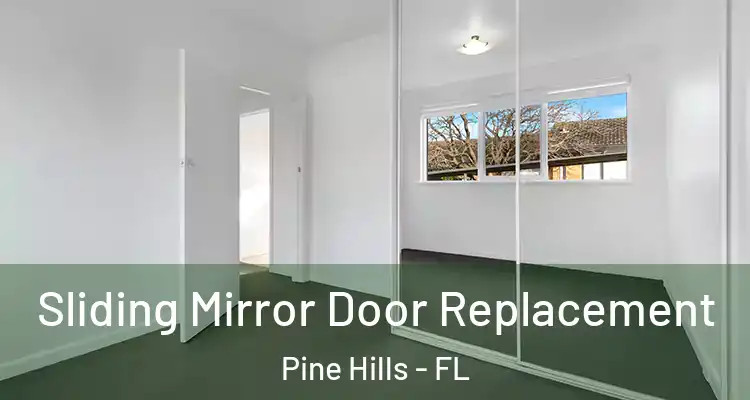  Sliding Mirror Door Replacement Pine Hills - FL