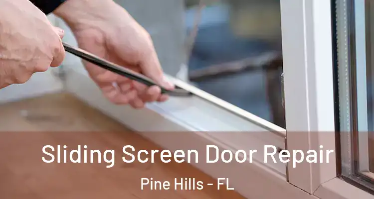  Sliding Screen Door Repair Pine Hills - FL