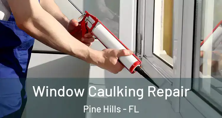  Window Caulking Repair Pine Hills - FL