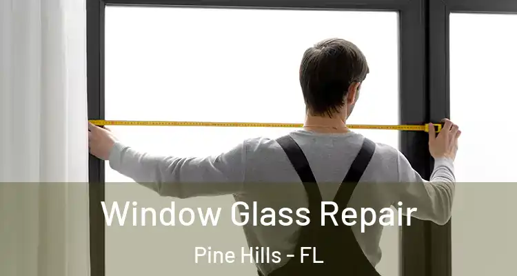  Window Glass Repair Pine Hills - FL