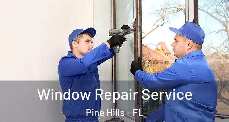 Window Repair Service Pine Hills - FL